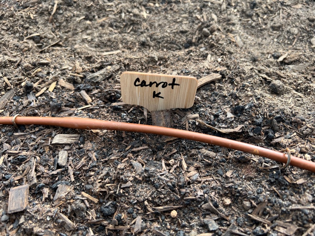 Seedlings & Shade&nbsp;Cloth