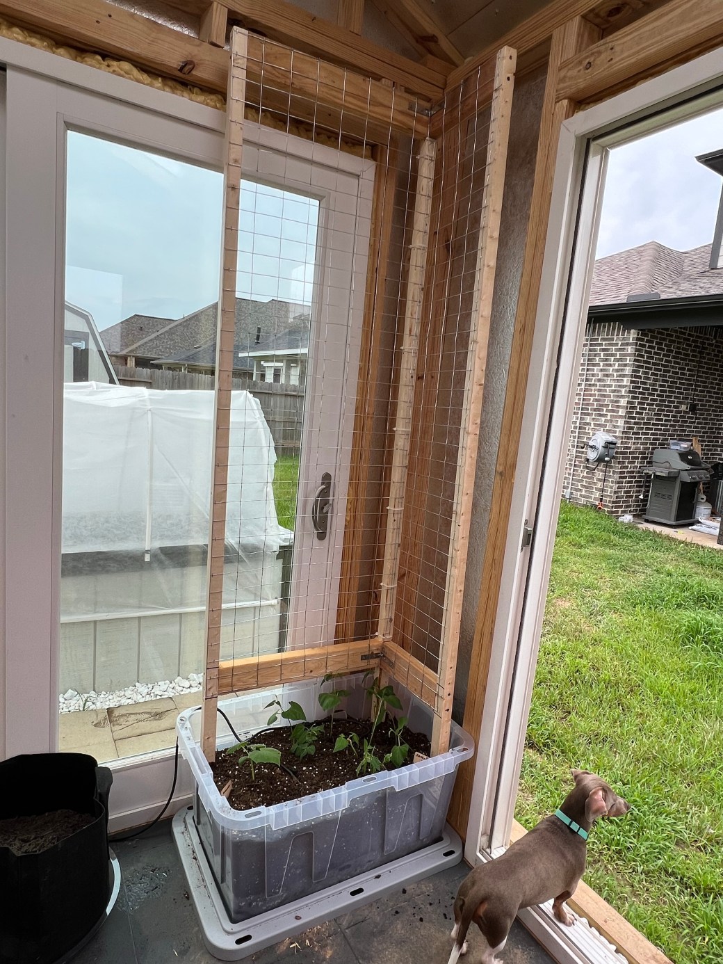 Bean and Cucumber&nbsp;Trellis