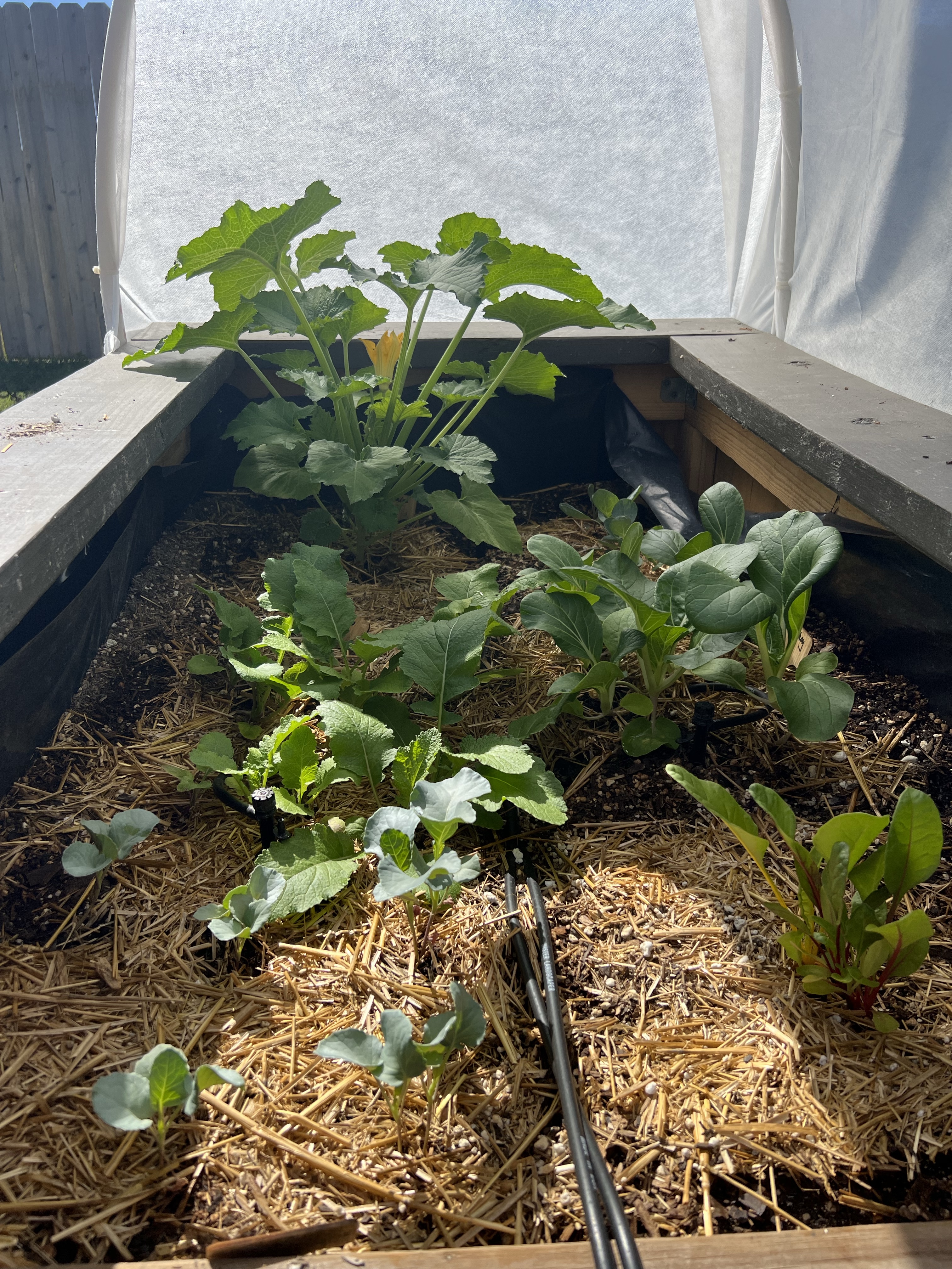 What a difference a week&nbsp;makes!