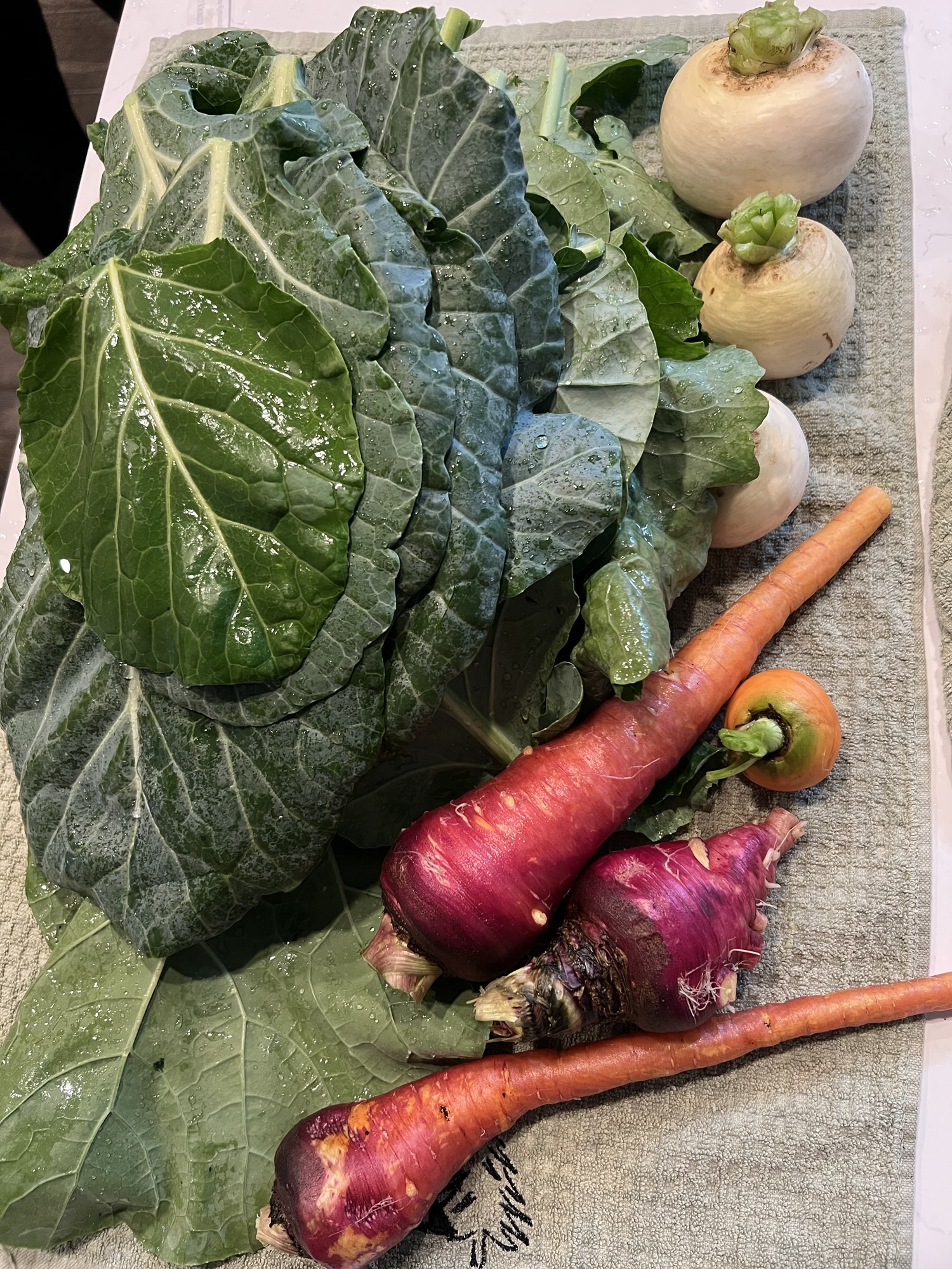 Mild winter…great harvests